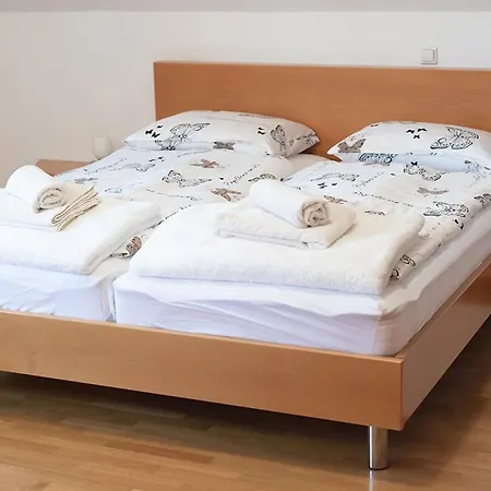 Suzana Iron's Apartmán Lublaň