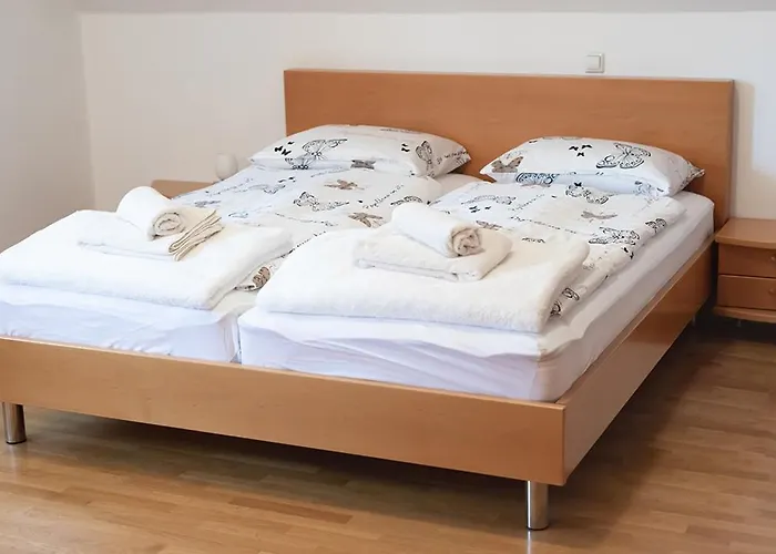 Suzana Iron's Apartmán Lublaň