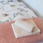 Suzana Iron's